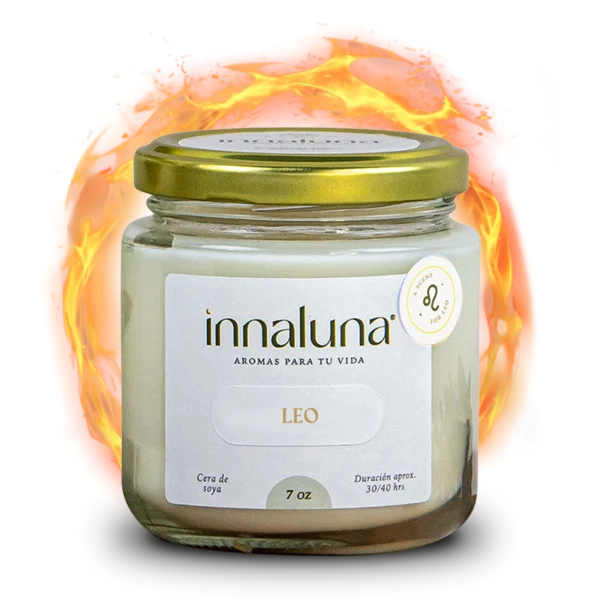 Vela Leo